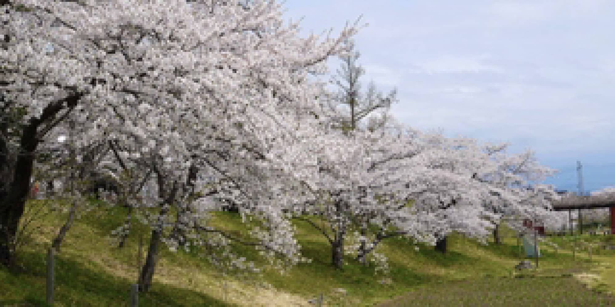 御殿場公園